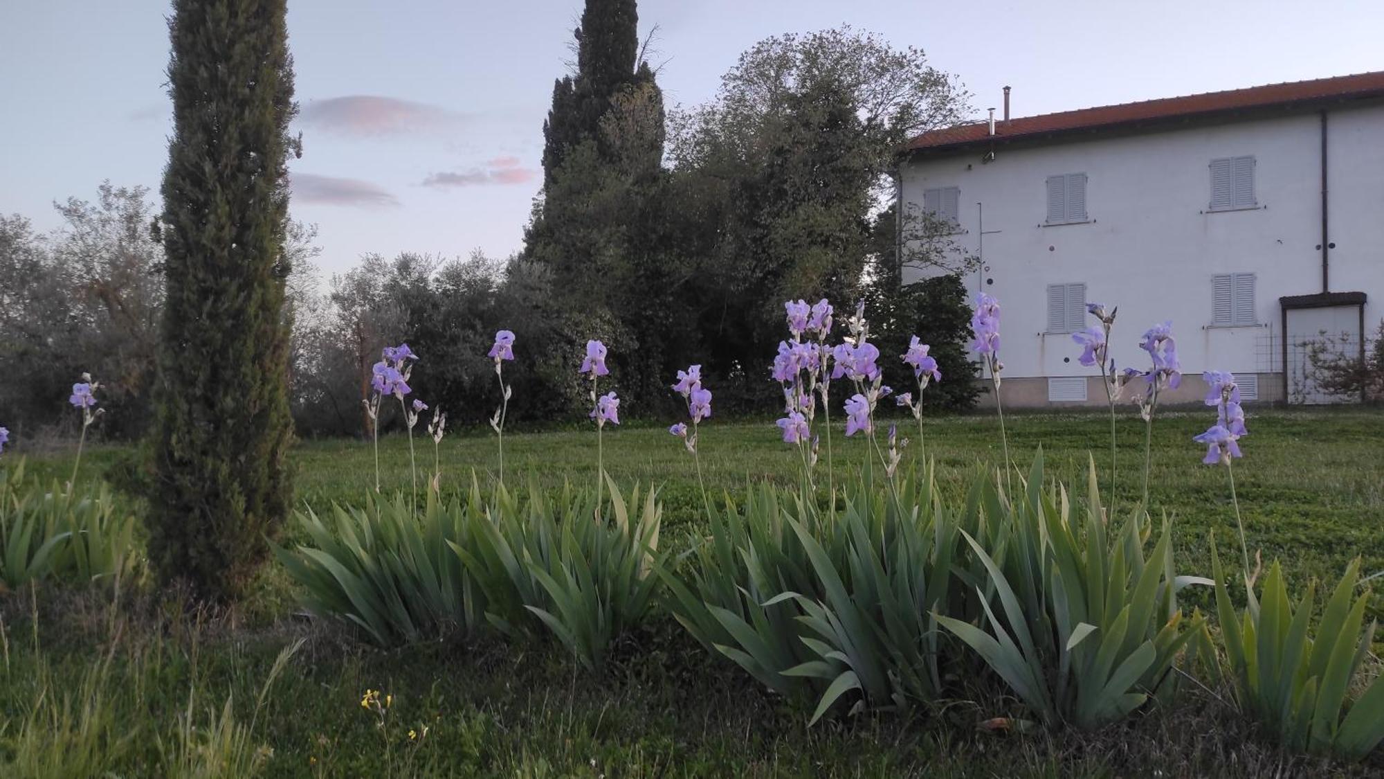 Borgo Iris Villa Pietraia Dış mekan fotoğraf